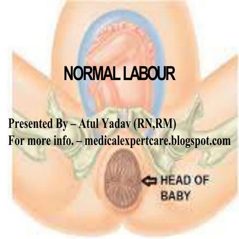 Normal labour and its physiology