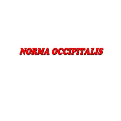 Norma occipitalis in head and neck- osteology