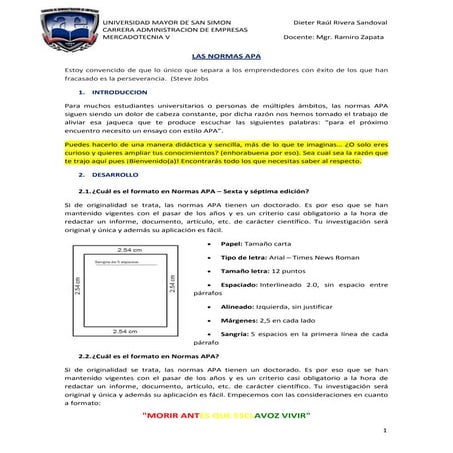 Normas apa