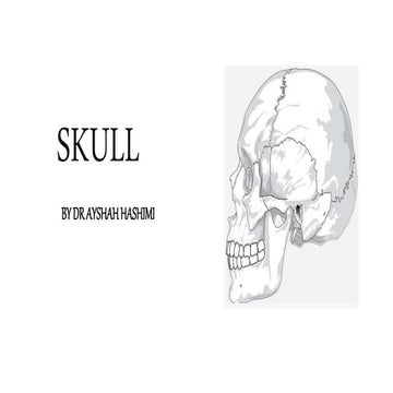 Normas of skull
