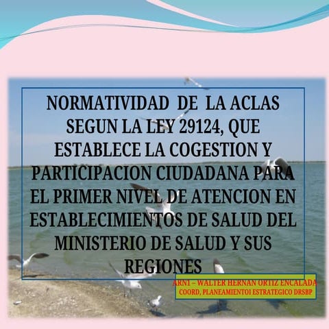 NORMATIA DE LA CLAS LEY 29124 en puestos