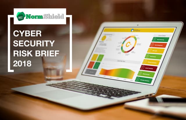 NormShield 2018 Cyber Security Risk Brief
