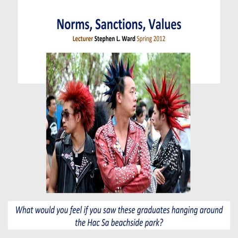 Norms, sanctions and values