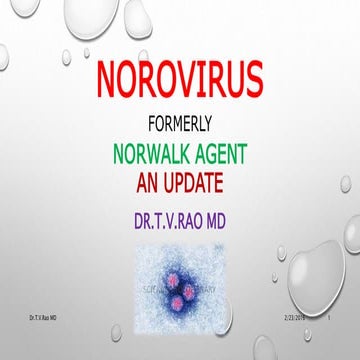 Norovirus -Norwalk agent 