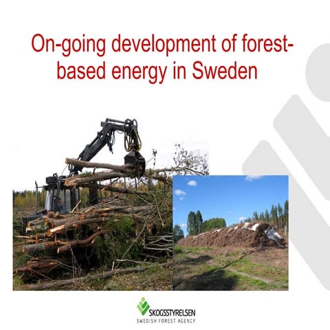Why it is important to recycle  bioenergy ashes back to forest in Sweden, mot...