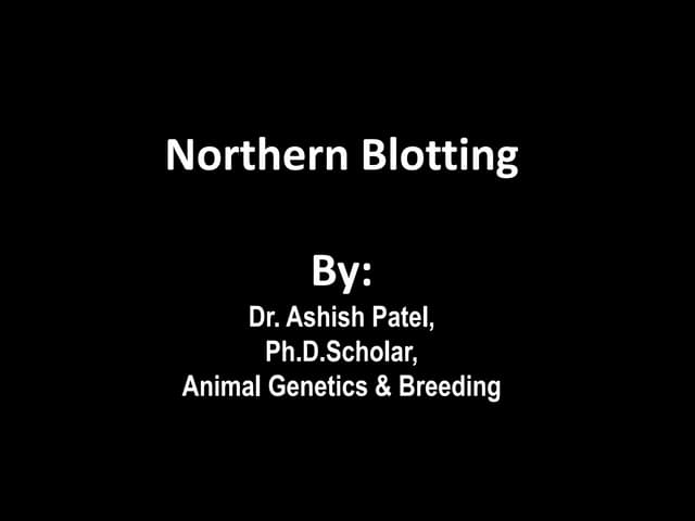 Northern blot