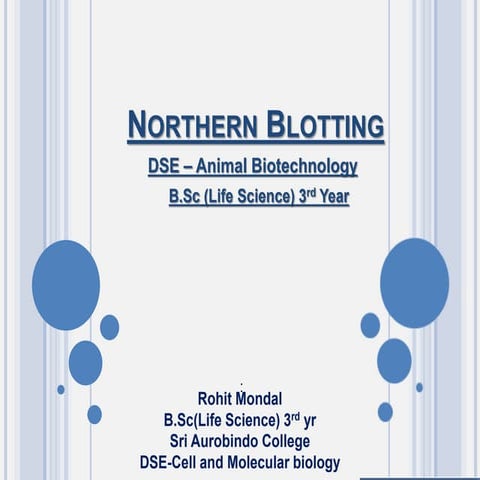 Northern blotting 