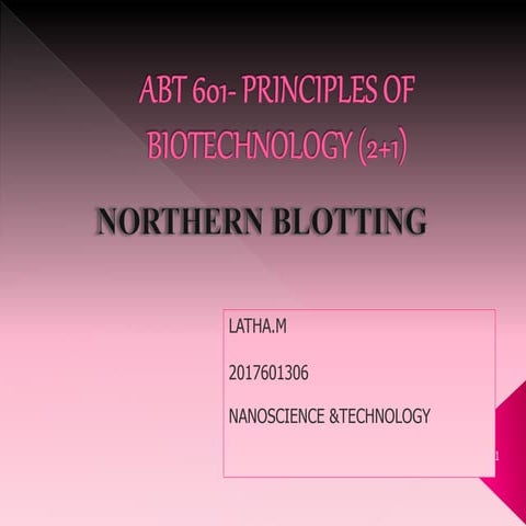 Northern blotting ppt
