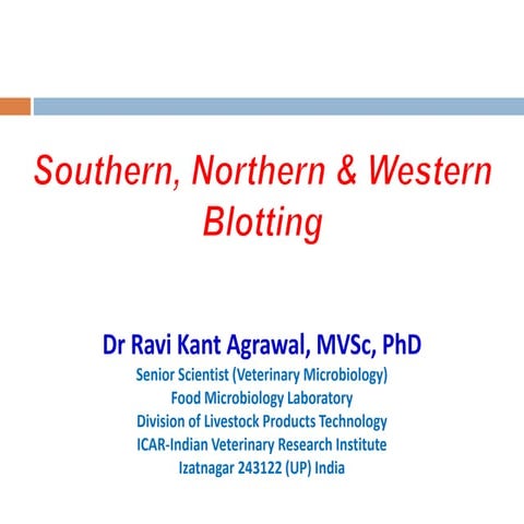 Northern, southern and western blotting