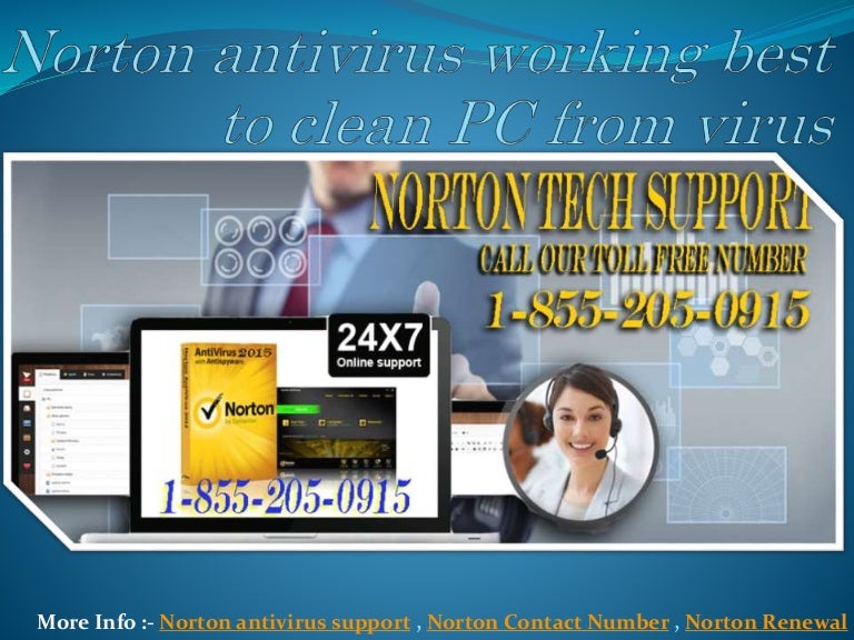 Norton Norton