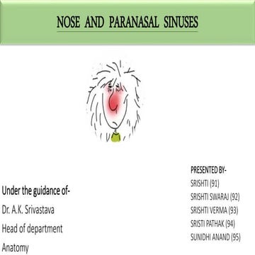 Nose  and  paranasal  sinuses.