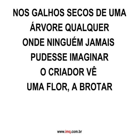 Nos galhos secos de uma árvore qualquer