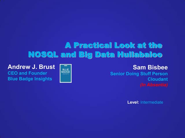 NoSQL and The Big Data Hullabaloo