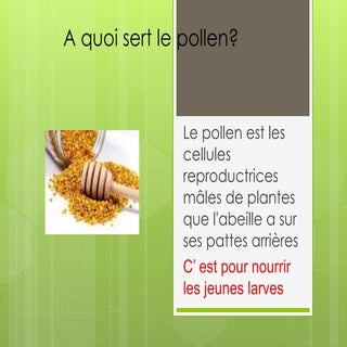 Questions et reponses sur l'abeille