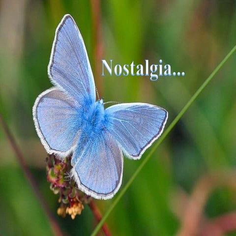 Nostalgia