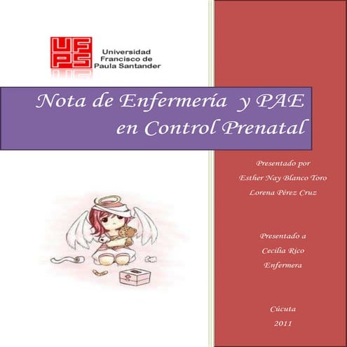 Nota de enfermería y PAE en control prenatal