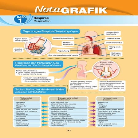 Nota grafik sains t3