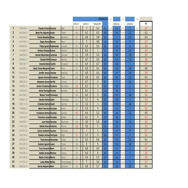 Notas controles  2013  rectificadas  29 dic