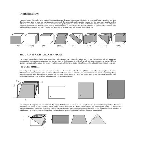 Notas de Petrografia PDF