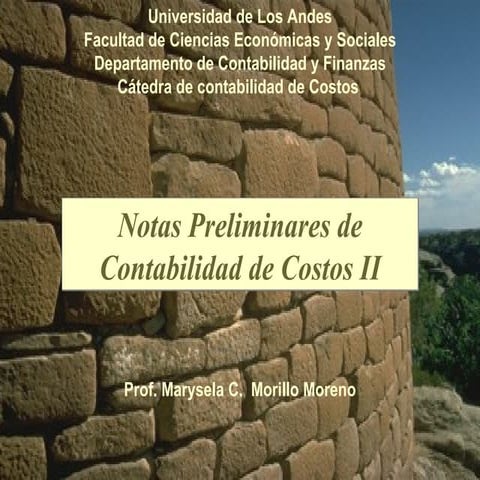 Libro de contabilidad de costos