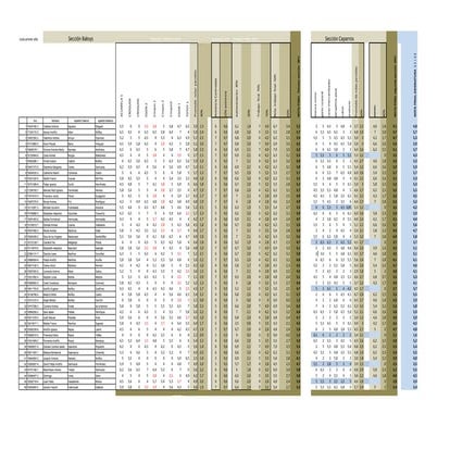 Notas primer año grafica   dos  secciones (version 2)