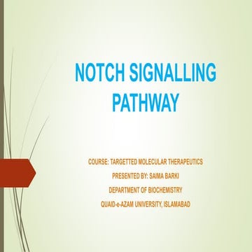 Notch signalling