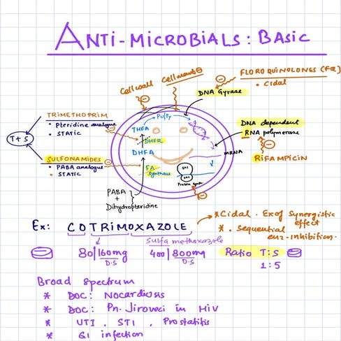 Basics of Anti Microbials- Anti Bacterial | PDF