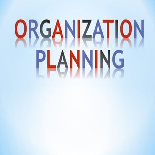Organization Planning