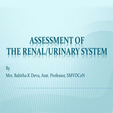 Note on assessment of renal or urinary system