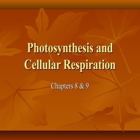 Notes  photosynthesis and cr