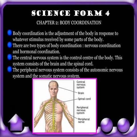 Note sains ultimate flash spm 2011
