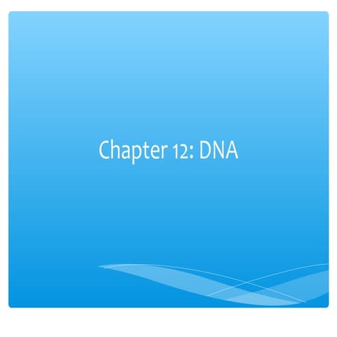 Notes ch12 DNA