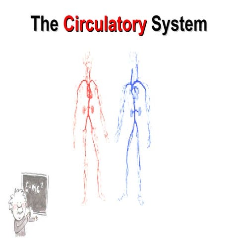 Notes on circulation