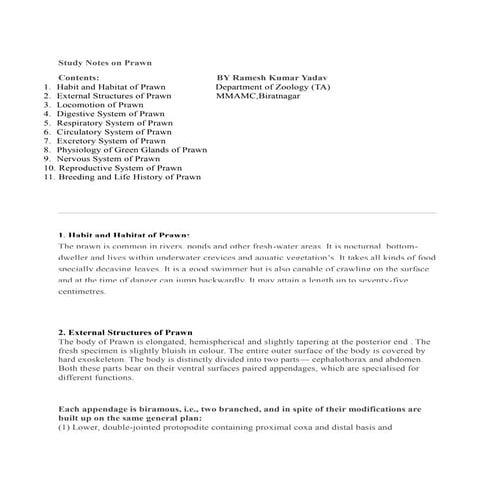 Notes on prawn