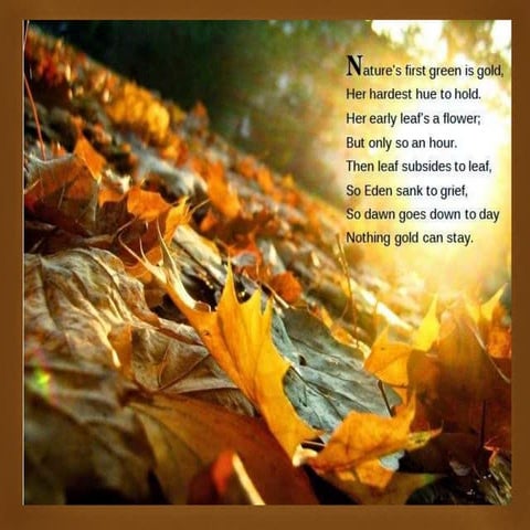 Nothing gold-can-stay