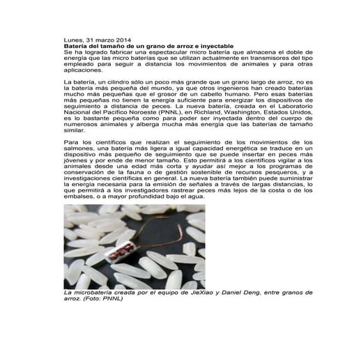 Batería del tamaño de un grano de arroz e inyectableNoticia 1