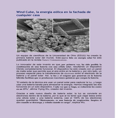 Con hongos cultivados 