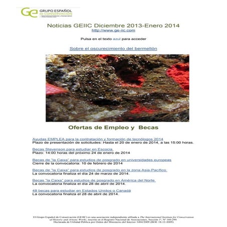 Noticias geiic diciembre 20134 enero 2014