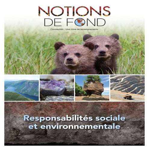 Notions de fond responsabilites sociale et environnementale