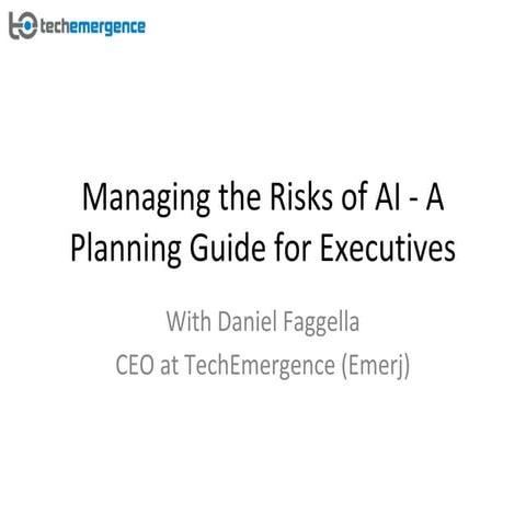 Managing the Risks of AI - A Planning Guide for Executives