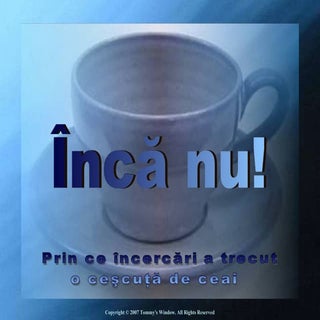Nu inca