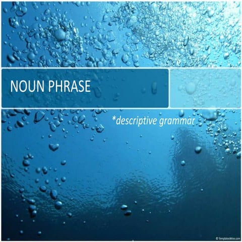 Noun Phrase