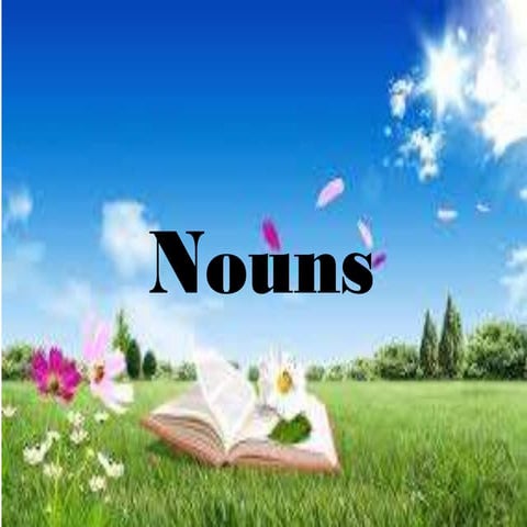 Nouns