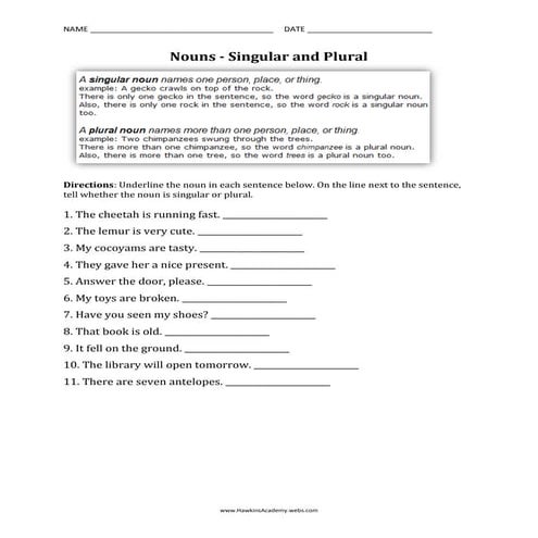 Nouns - Singular and Plural