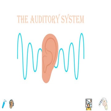 the secret system of Auditory in humen.pptx