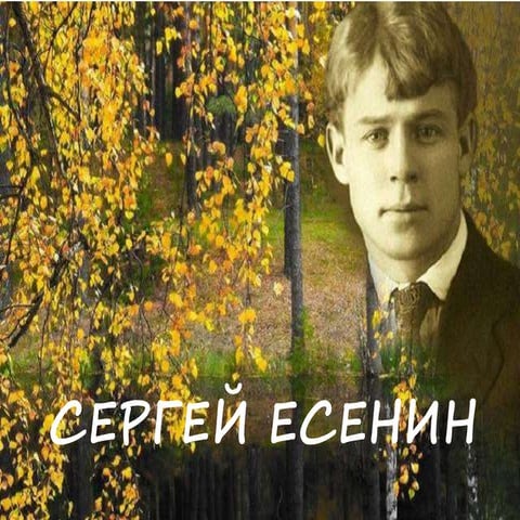 есенин Nov