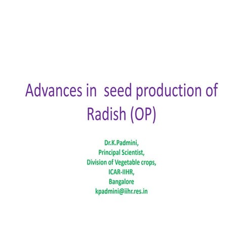Nov 1,2018 seed prdn radish ppt good   copy
