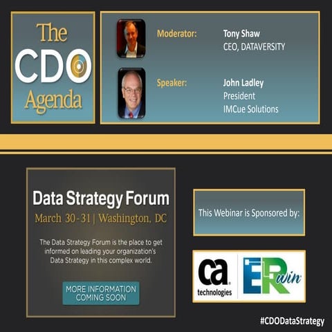 The Chief Data Officer's Agenda: The Status of the Chief Data Officer