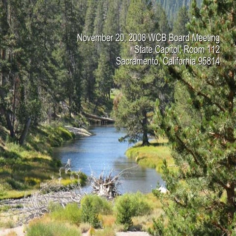 Nov2008 board meeting_presentation_draft_11192008_1045