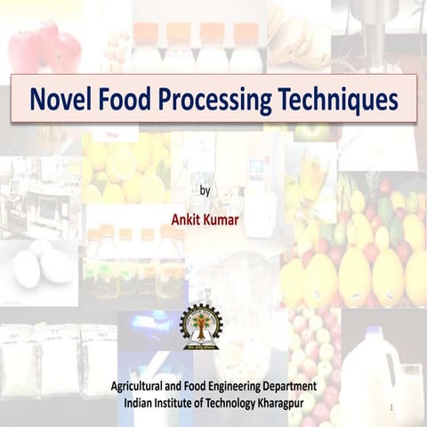 Novel Food Processing Techniques